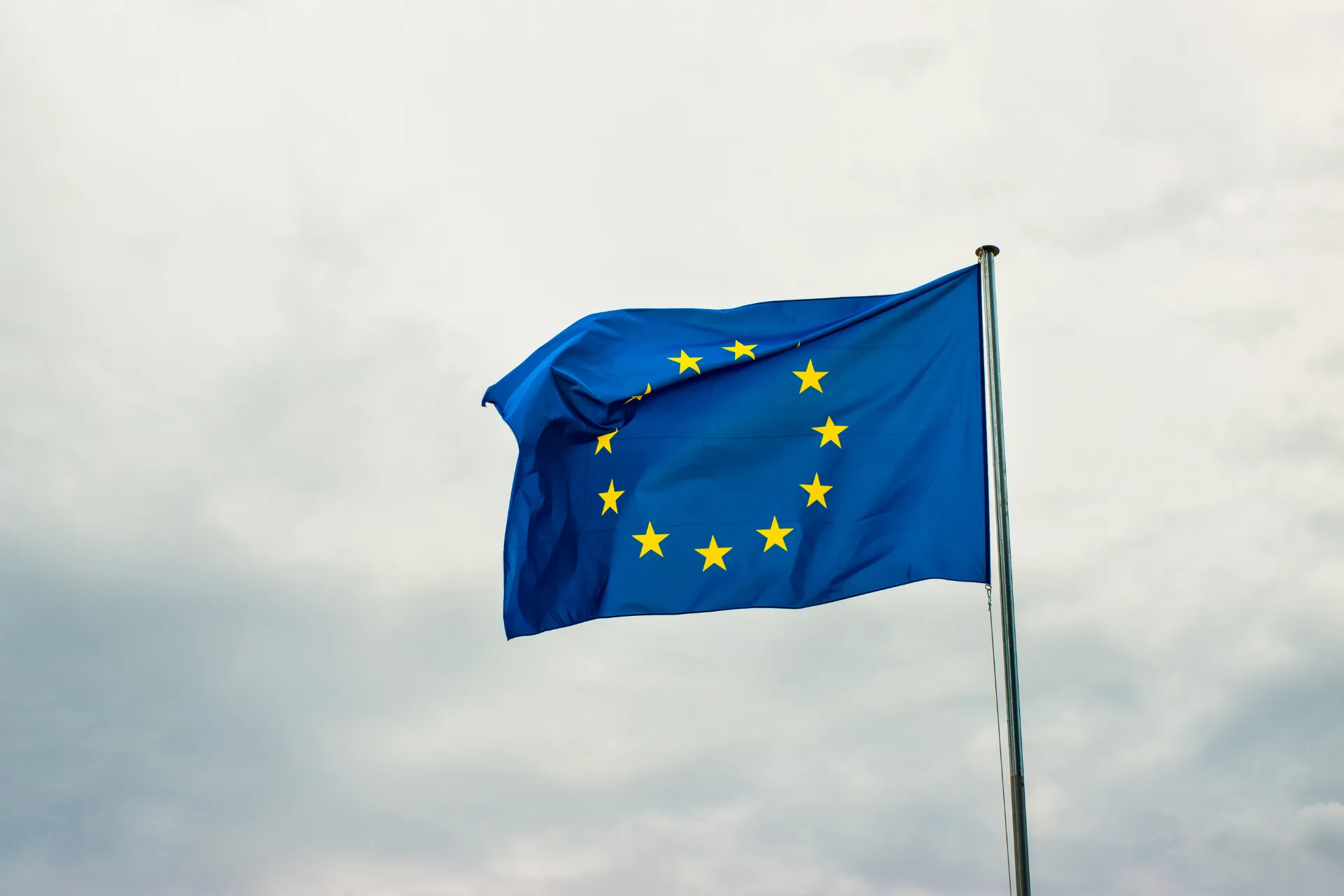 Maurerfirmen und Maurer aus Polen – solide Unterstützung für große Bauprojekte in der EU