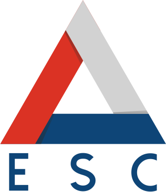 Professionelle Subunternehmer Europejska S.C